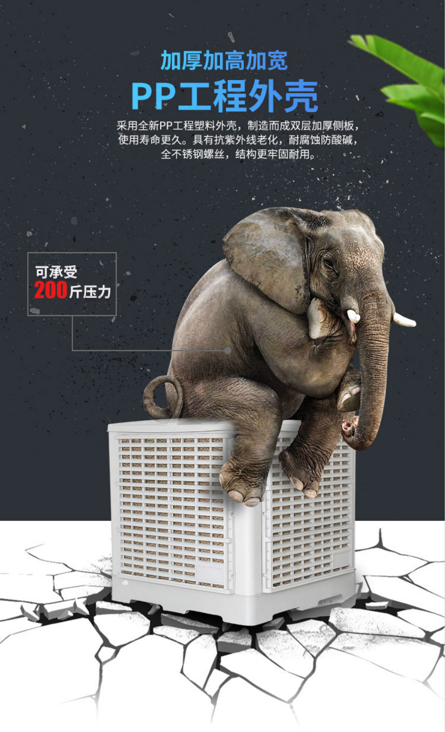 正版全年资料大全