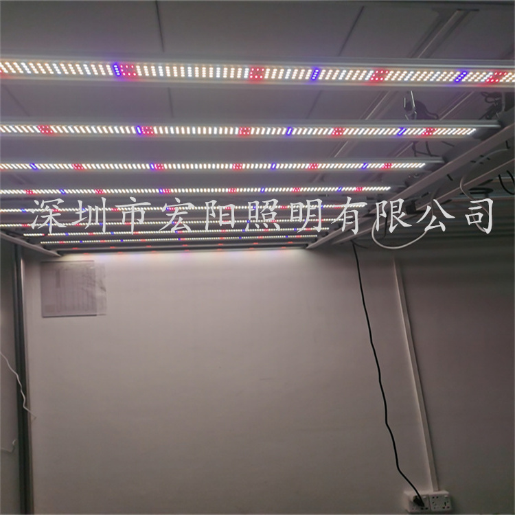正版全年资料大全