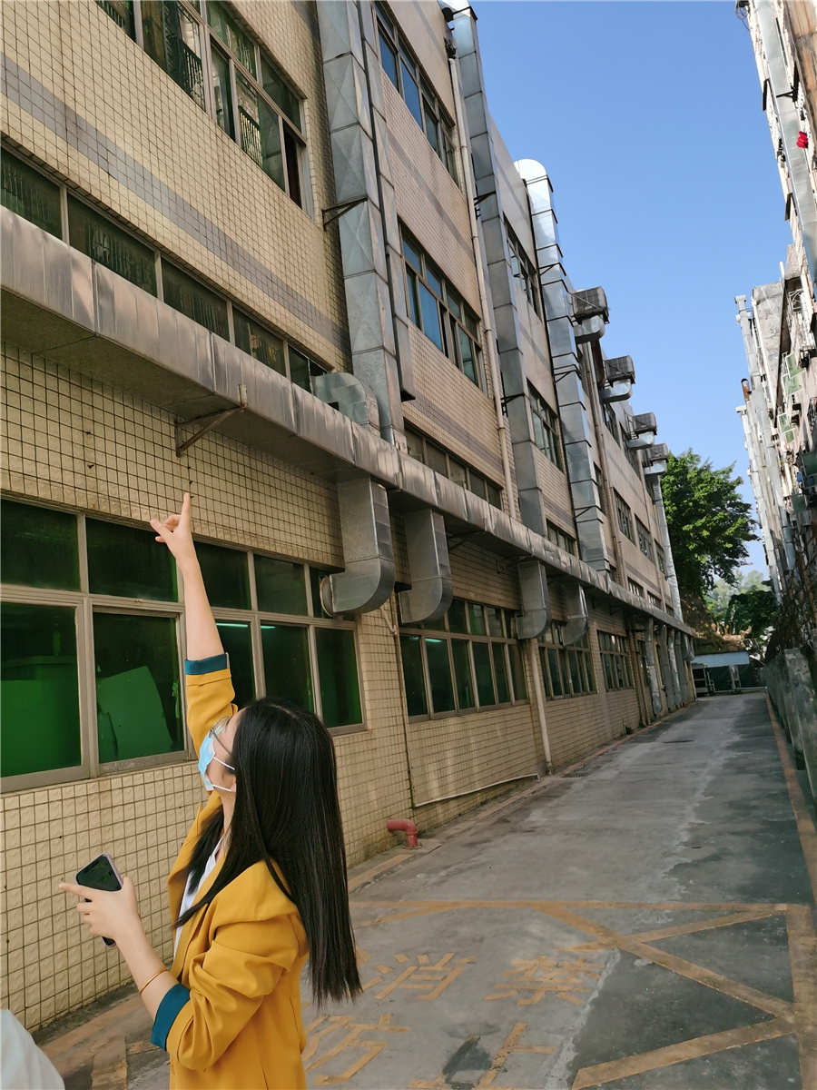正版全年资料大全